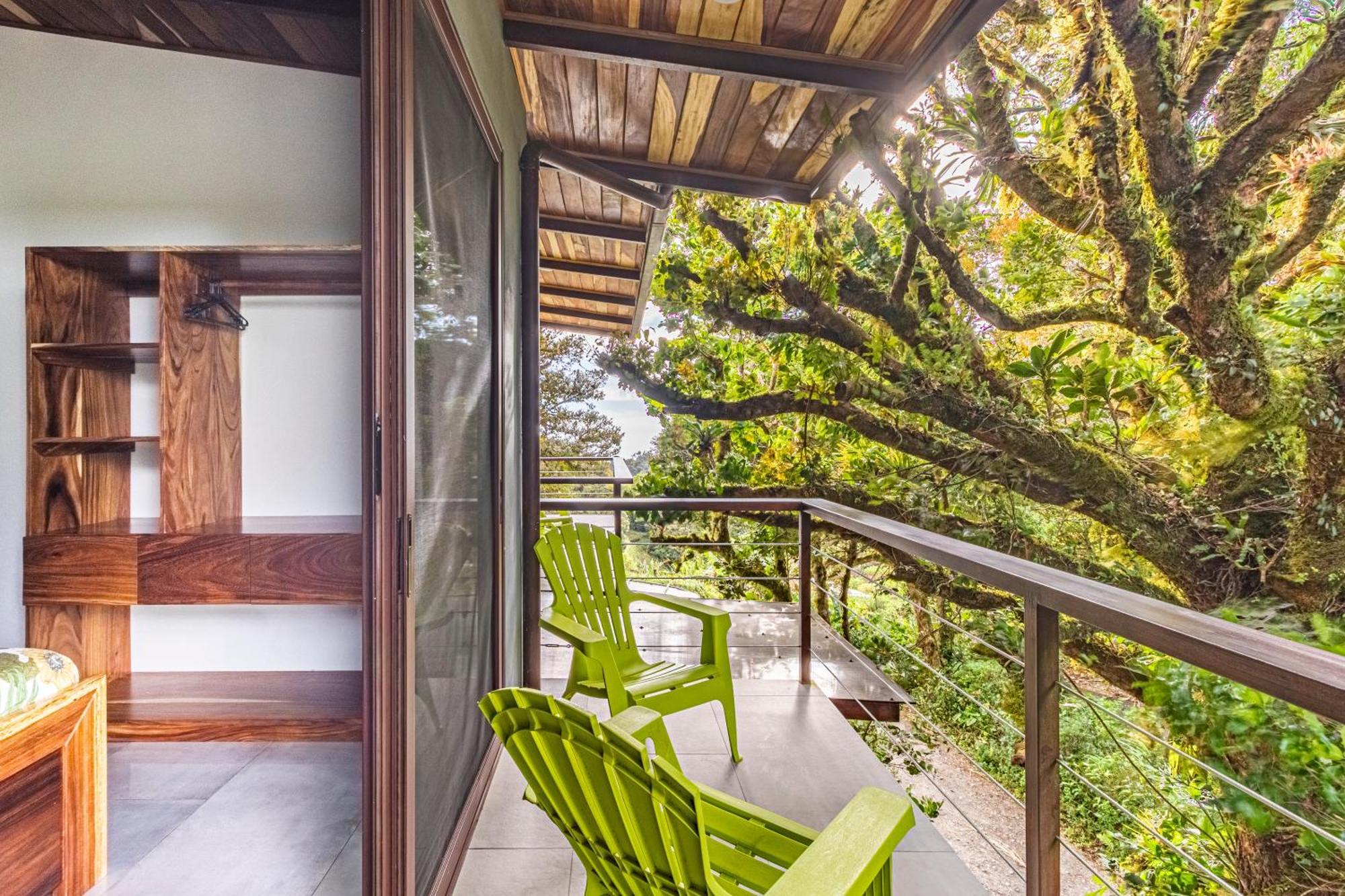 Cougar Monteverde Bagian luar foto